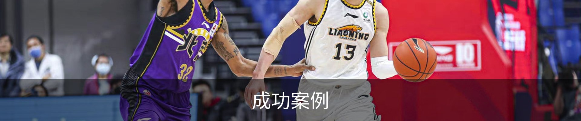 成功案例